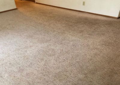 view of a carpet before cleaning