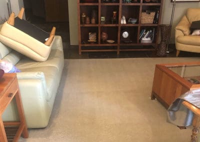 living room clean carpet