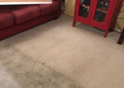 carpet cleaning in progress