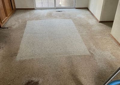 Dirty Dining Room Carpet