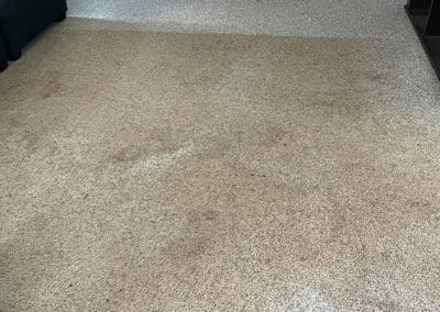 Dirty Living Room Carpet