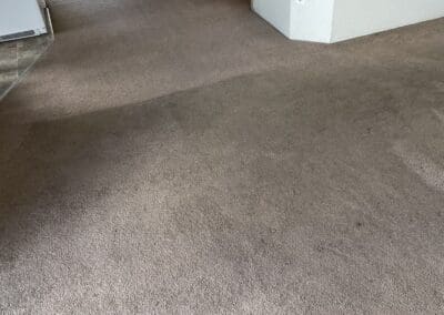 Carpet Getting Cleaned
