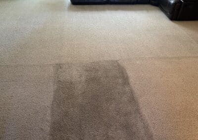 Living Room Carpet Being Cleaned