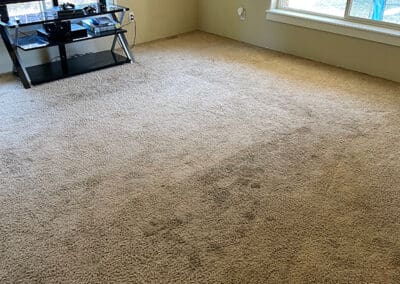 Dirty Family Room Carpet Before Carpet Cleaning