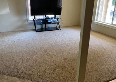 Family Room Carpet After Carpet Cleaning
