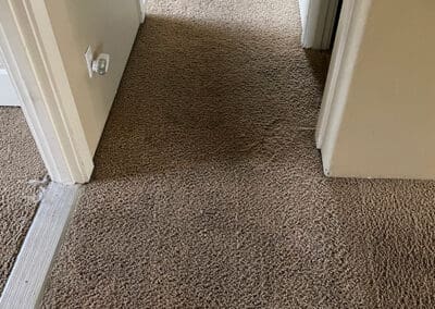 Hallway Carpet Before Cleaning