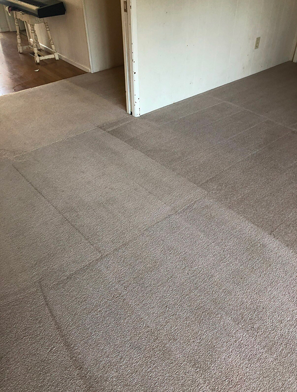 After carpet cleaning service