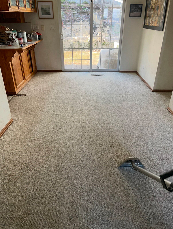 After carpet cleaning service