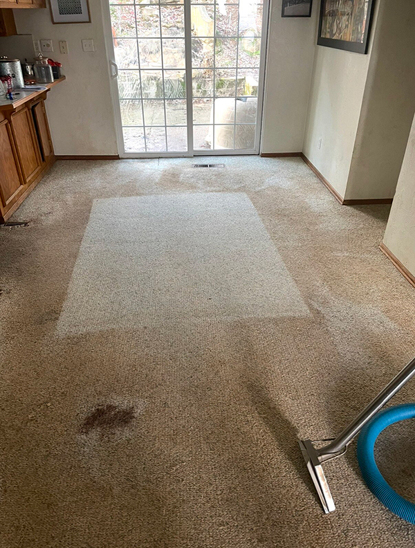 Before carpet cleaning services